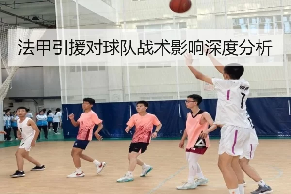 法甲引援对球队战术影响深度分析